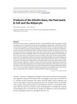 Products of the Ghrelin Gene, the Pancreatic β