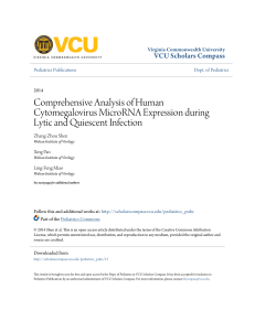 Comprehensive Analysis of Human Cytomegalovirus MicroRNA