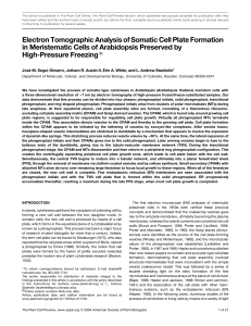 Electron Tomographic Analysis of Somatic Cell