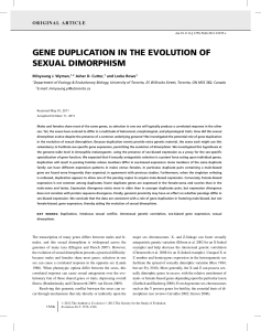 gene duplication in the evolution of sexual dimorphism