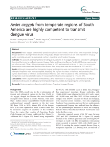 Aedes aegypti from temperate regions of South - Arca