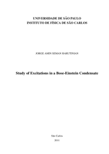 Study of Excitations in a Bose-Einstein Condensate