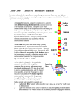 Chem*3560 Lecture 31: Ion selective channels