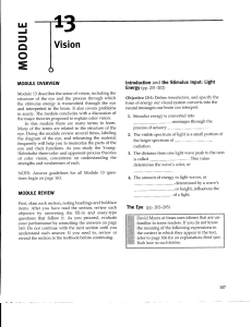 Vision - HallquistCPHS.com