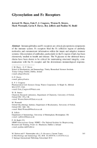 Glycosylation and Fc Receptors