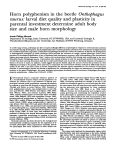 Horn polyphenism in the beetle Onthophagus taurus