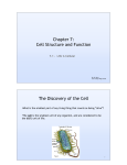 Chapter 7 Section 7_1 Life is Cellular