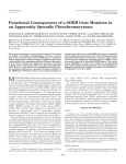 Functional Consequences of a SDHB Gene Mutation in an