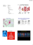 Nervous Tissue Homeostasis