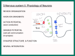 Text 5-Nervous system II: Physiology of Neurons