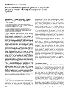 Relationship between granular cytoplasm of oocytes and pregnancy