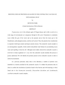 Identification of proteins localized to the contractile vacuole of