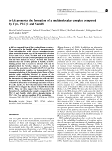 tr-kit promotes the formation of a multimolecular complex composed