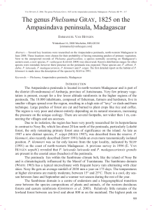 The genus Phelsuma GRAY, 1825 on the Ampasindava peninsula