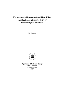 Modified uridine at wobble position in tRNA of