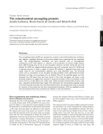 The mitochondrial uncoupling proteins | Genome Biology | Full Text