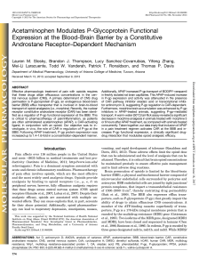 Acetaminophen Modulates P-Glycoprotein Functional Expression at