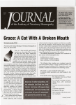 Grace: A Cat With A Broken Mouth - Dr