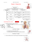 Chapter 1: Respiration