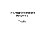 The Adaptive Immune Response T