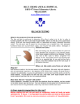 bile acid testing - Blue Cross Animal Hospital