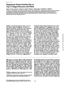 Mapping the Heparin-binding Sites on Type I Collagen Monomers