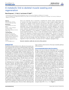 A metabolic link to skeletal muscle wasting and regeneration