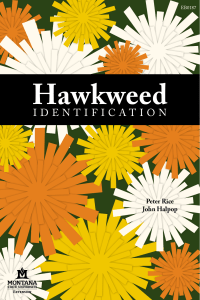 Hawkweed Identification - Montana State University Extension