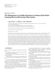 The Pathogenesis of Candida Infections in a Human Skin Model