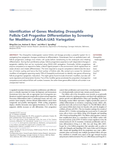 Identification of Genes Mediating Drosophila Follicle Cell Progenitor