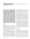 Functional Sub-regions for Optic Flow Processing in the