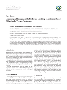 Intrasurgical Imaging of Subinternal Limiting Membrane Blood