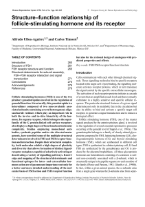 Structure–function relationship of follicle