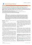 Bartonella Henselae Initial Infection of Mature Human Erythrocytes