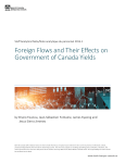 Foreign Flows and Their Effects on Government of