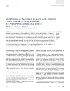 Identification of Functional Domains in the Cohesin Loader Subunit