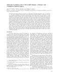 Molecular Evolution of the CMT1A-REP Region: A Human