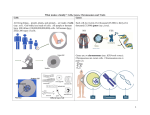 1 What makes a family? Cells, Genes, Chromosomes and Traits