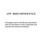 ATP - BIOLUMINESCENCE