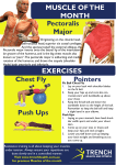 MUSCLE OF THE MONTH Pectoralis Major EXERCISES Chest Fly