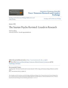 The Saurian Psyche Revisted: Lizards in Research