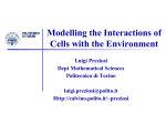 Biological background of cell-ECM interactions