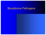 Bloodborne Pathogens