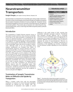 Neurotransmitter Transporters