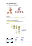 Cross over frequency and gene mapping Notes