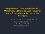 Comparison of Cryopreserved Amniotic Membrane and