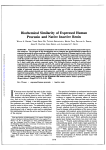 Biochemical Similarity of Expressed Human Prorenin