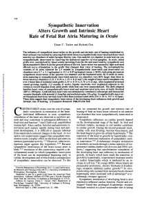 Sympathetic Innervation Alters Growth and Intrinsic Heart Rate of