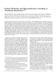 Protein Diffusion and Macromolecular Crowding in