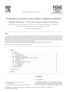Translocation of proteins across archaeal cytoplasmic membranes